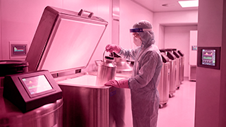 Banco de sêmen ou banco de óvulos: diferenças, indicações e como escolher na reprodução assistida